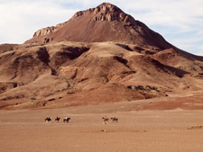 Namibia-Namibia-Damara Elephant Trail to Skeleton Coast